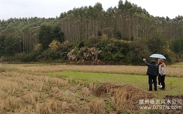 黄山市陈老师带着爱徒寻龙点穴